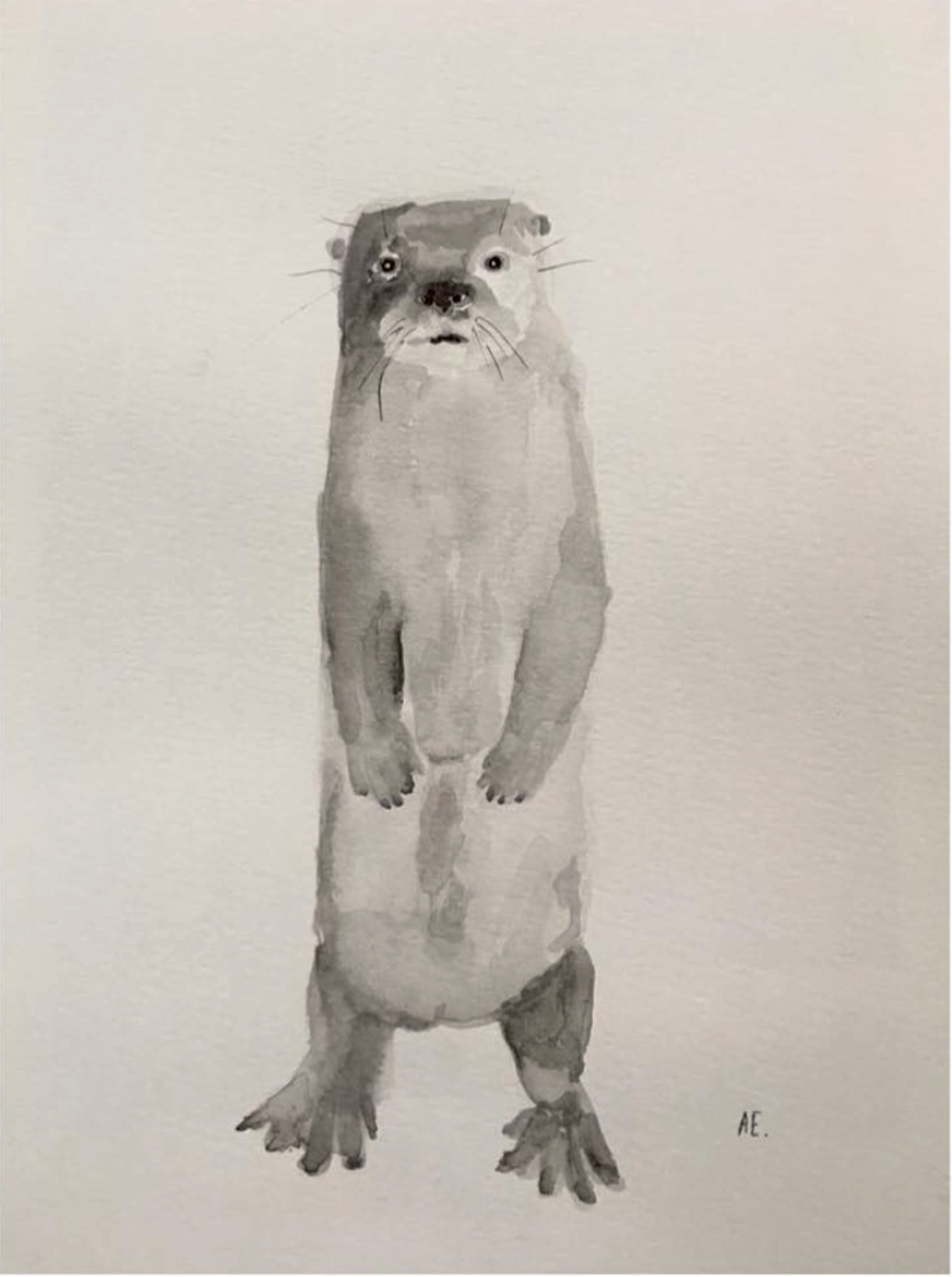 Eva van Imhoff Otter watercolor
